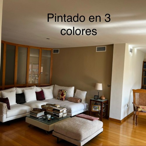 Trabajo pintor de salones en Córdoba