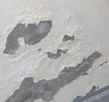 como solucionar humedad en pared